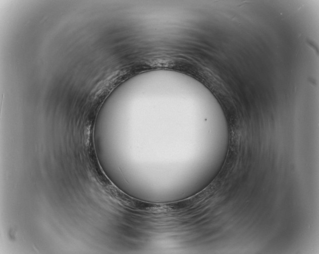 X0000103300652200808291131
