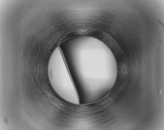 X0000103300653200808291131