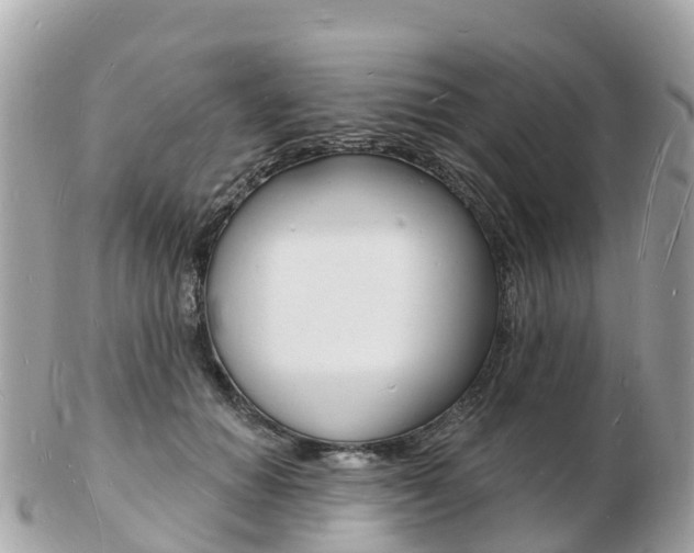 X0000103300654200808291131