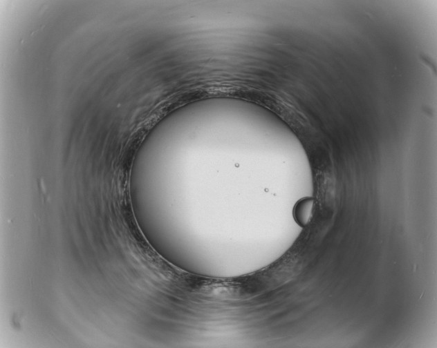 X0000103300655200808291131