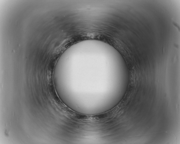 X0000103300656200808291131