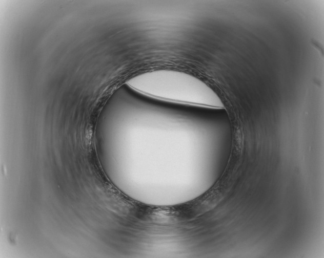 X0000103300657200808291131