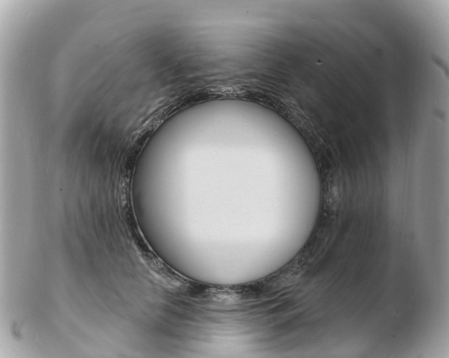 X0000103300658200808291131