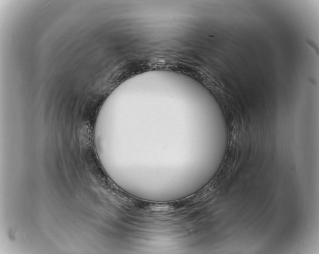 X0000103300659200808291131