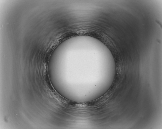 X0000103300660200808291131