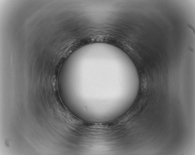 X0000103300661200808291131