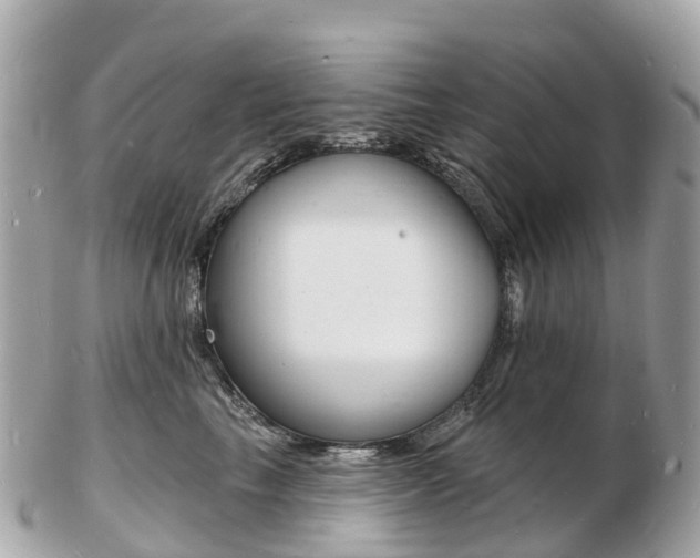 X0000103300665200808291132