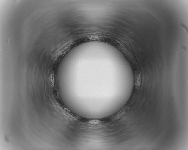 X0000103300666200808291132