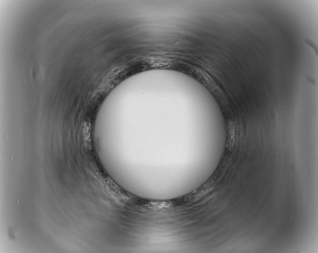 X0000103300667200808291132