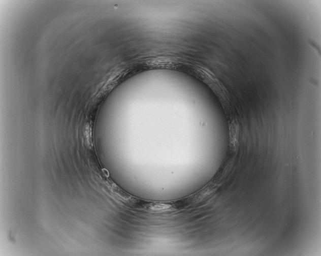 X0000103300669200808291132