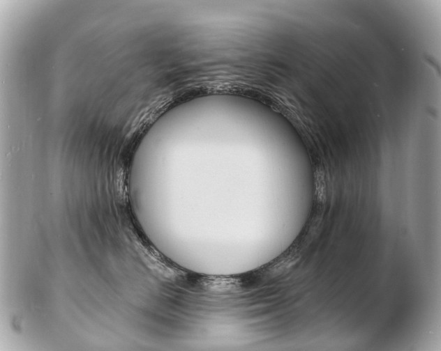 X0000103300670200808291132