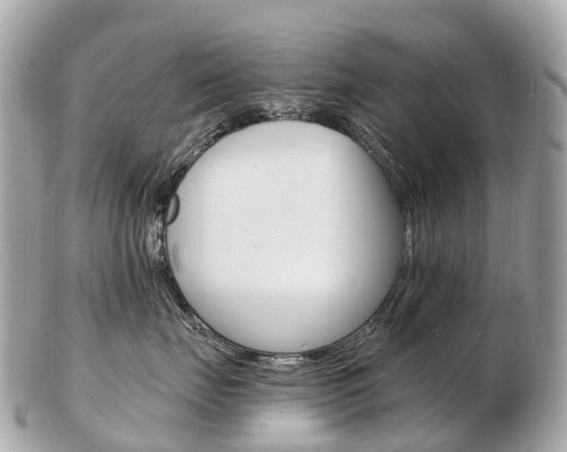 X0000103300671200808291132