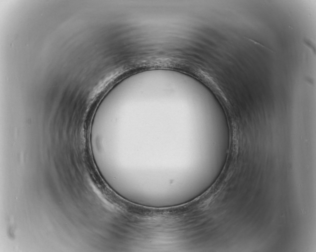 X0000103300674200808291131