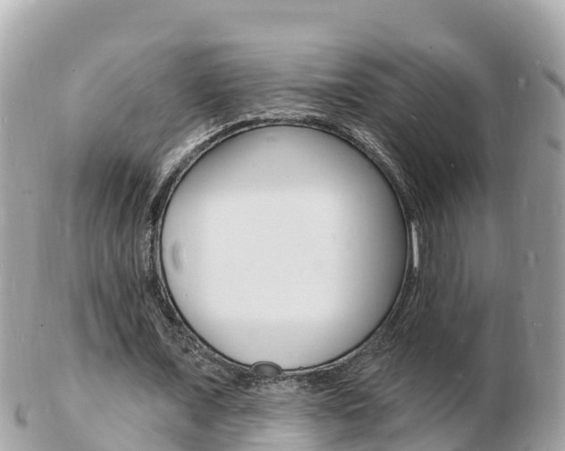 X0000103300675200808291131