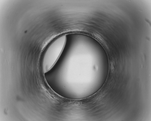X0000103300676200808291131