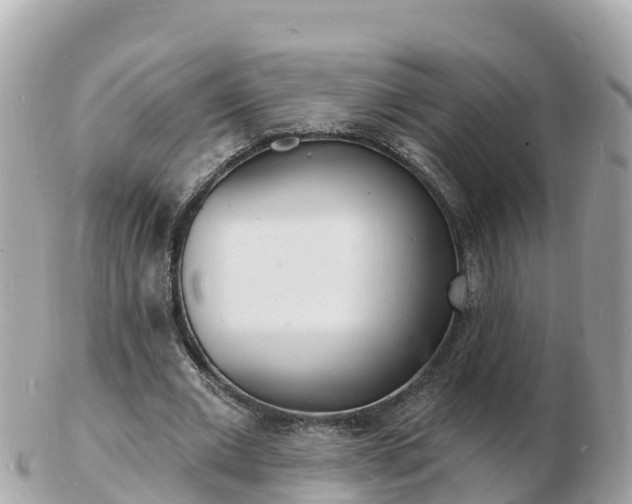 X0000103300677200808291131