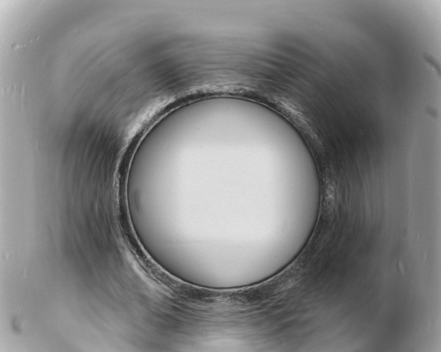 X0000103300678200808291131