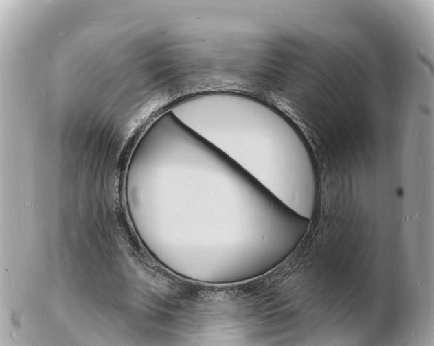 X0000103300679200808291131