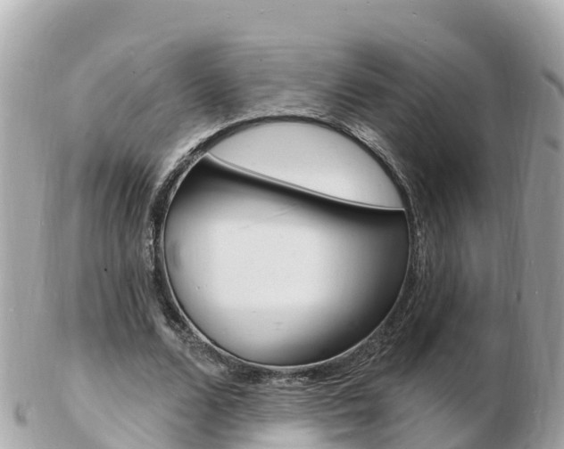 X0000103300680200808291131