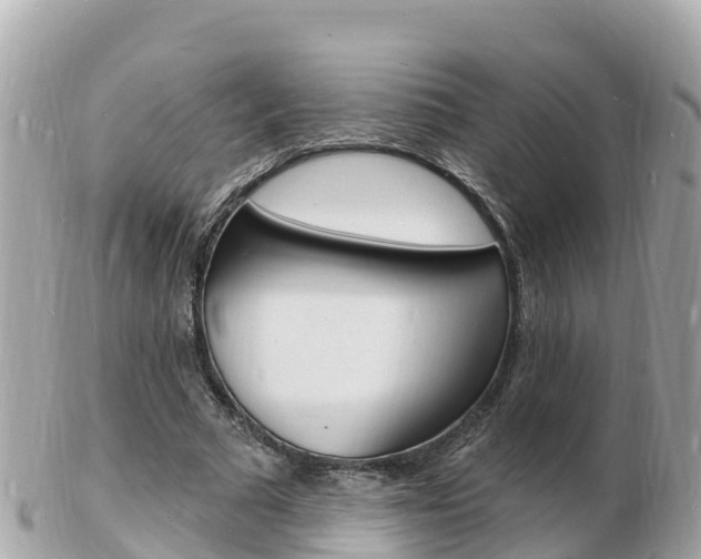 X0000103300681200808291131