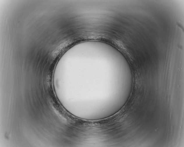 X0000103300683200808291131