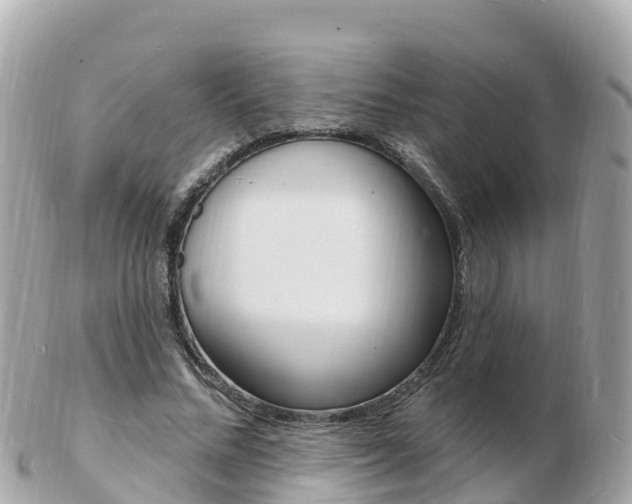 X0000103300684200808291131