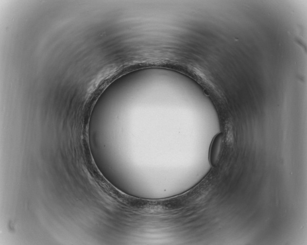 X0000103300685200808291131