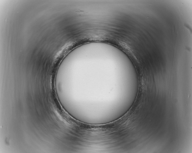 X0000103300686200808291131