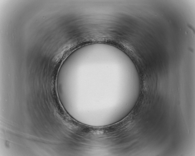 X0000103300687200808291131