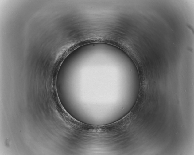 X0000103300688200808291131