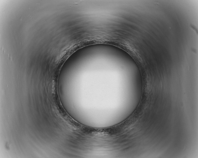 X0000103300689200808291131