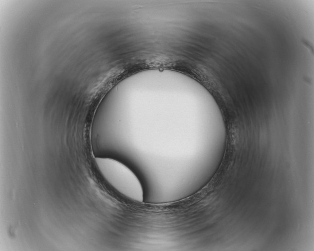 X0000103300690200808291131