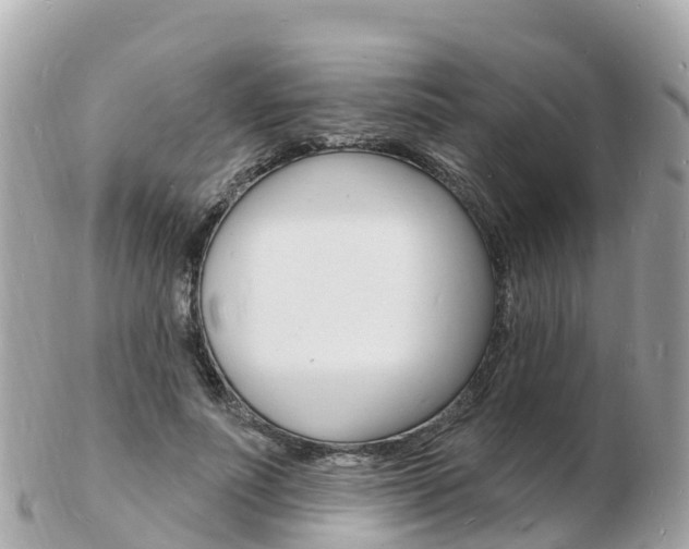 X0000103300691200808291131