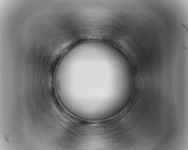 X0000103300692200808291131