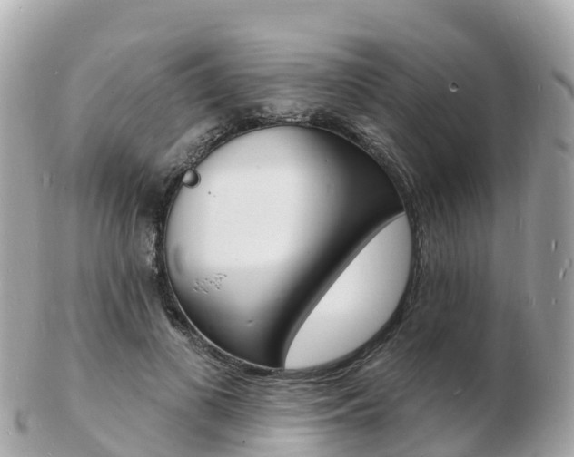 X0000103300693200808291131