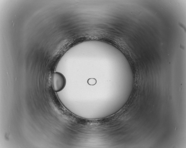 X0000103300694200808291131