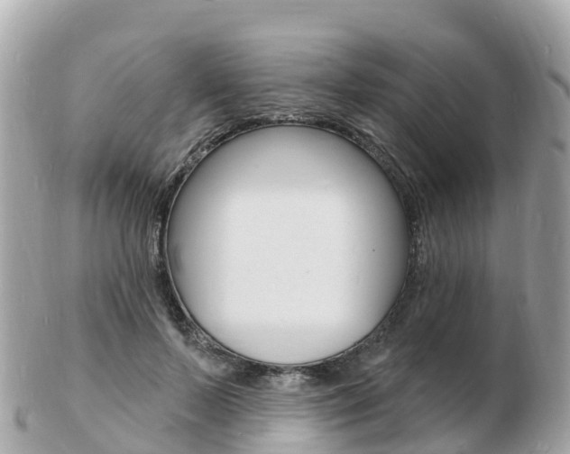 X0000103300695200808291131
