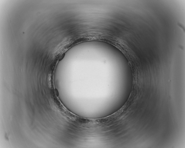 X0000103300696200808291131