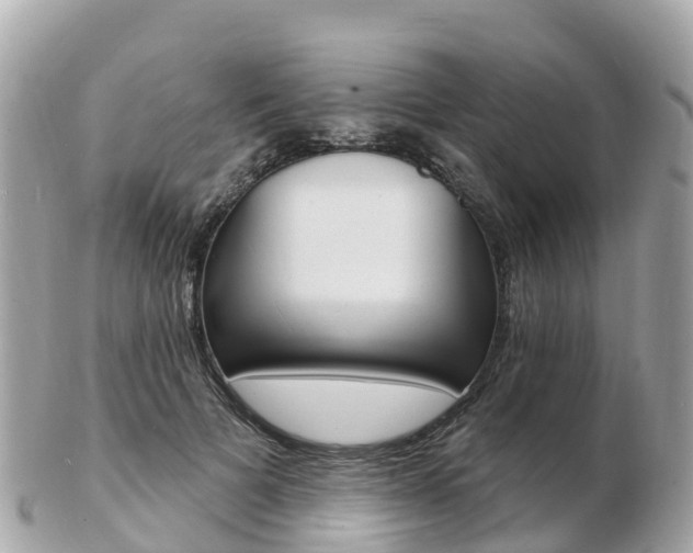 X0000103300697200808291131