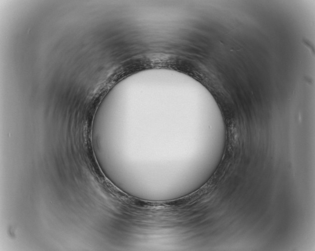 X0000103300698200808291131