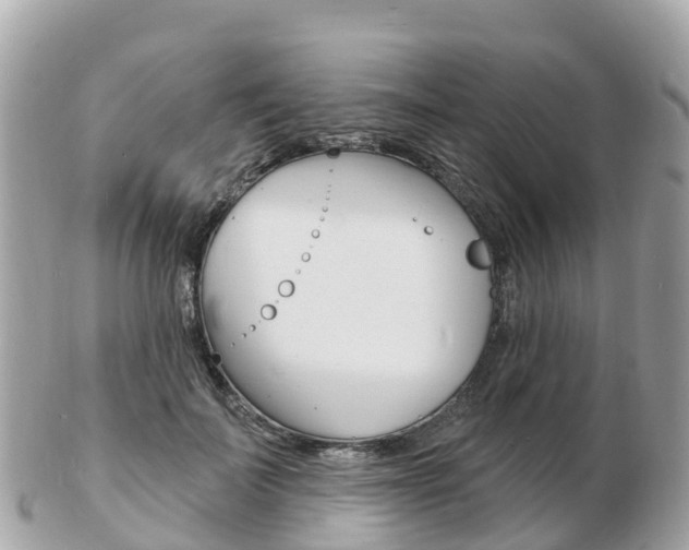 X0000103300699200808291131