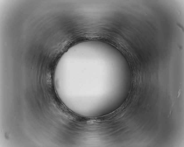 X0000103300700200808291131