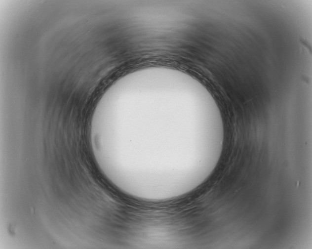 X0000103300701200808291131