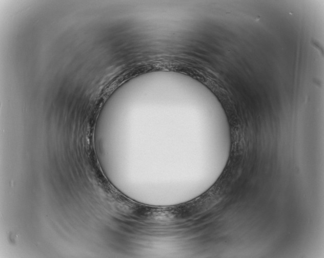 X0000103300702200808291131