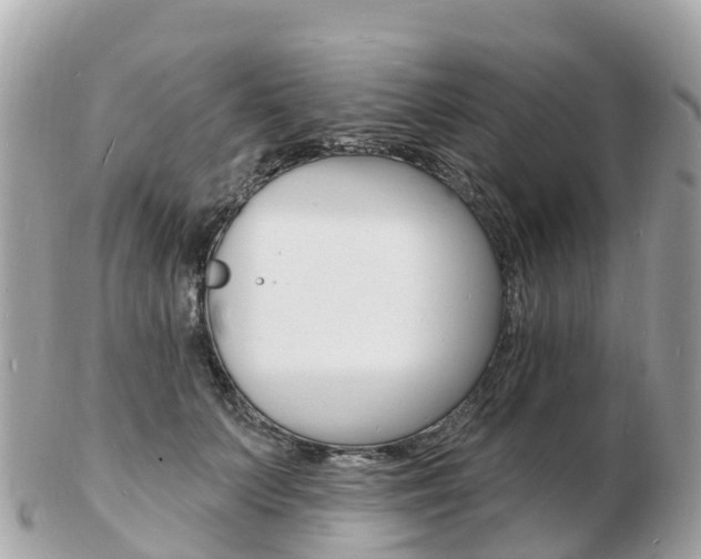 X0000103300703200808291131