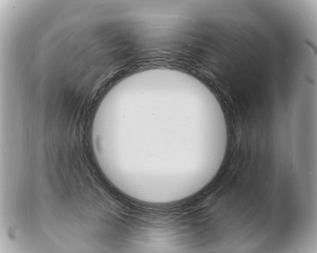 X0000103300705200808291131