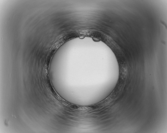 X0000103300707200808291131