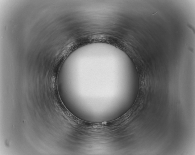 X0000103300708200808291130