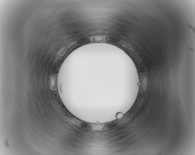 X0000103300709200808291130