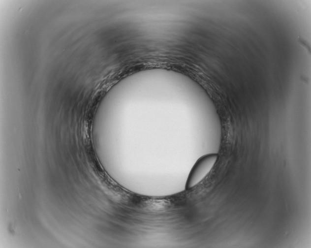 X0000103300711200808291130